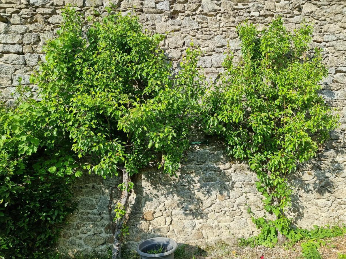 L'Atrium Bed and Breakfast Piégut-Pluviers Exteriör bild
